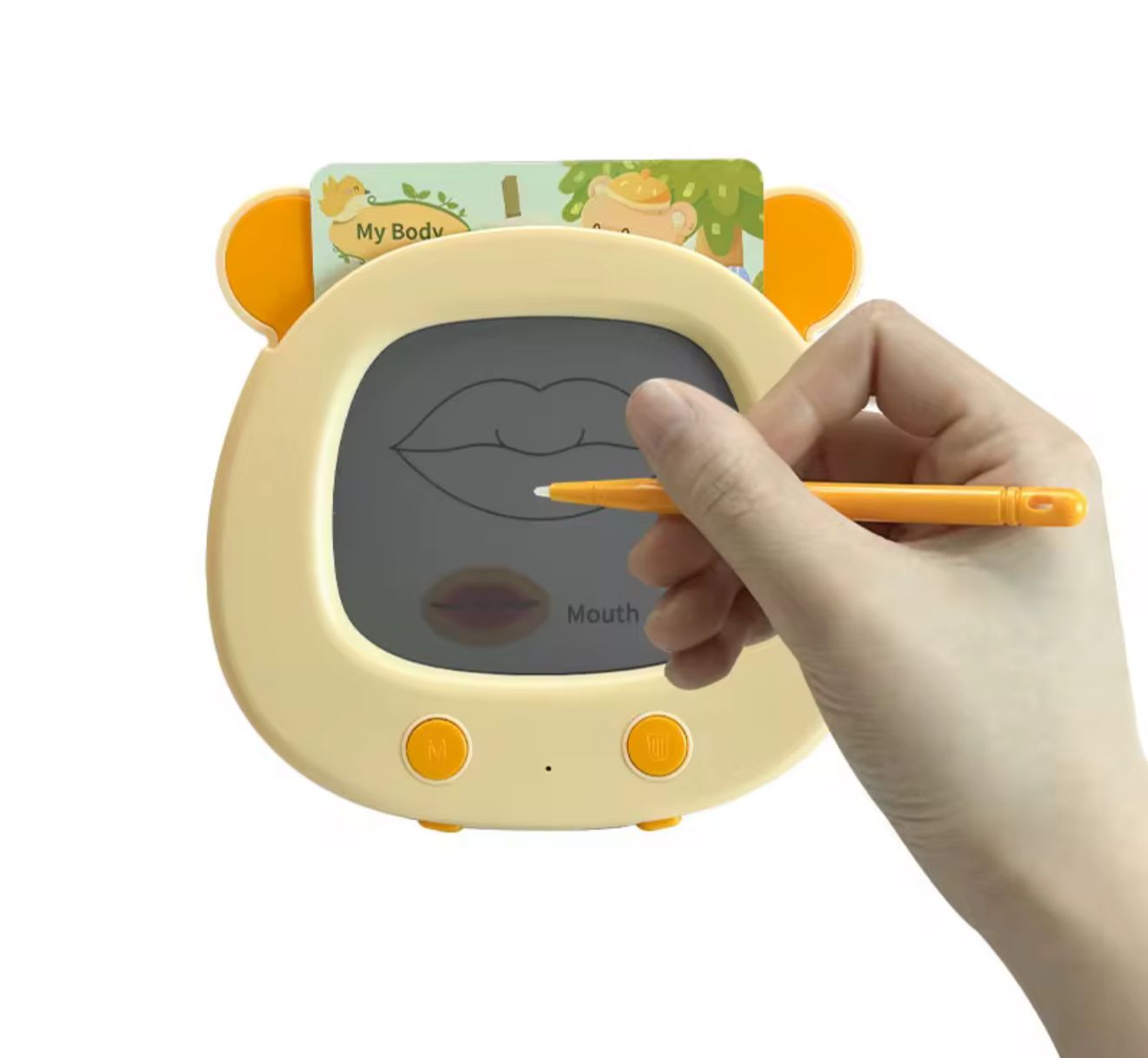 Smart Card Reader