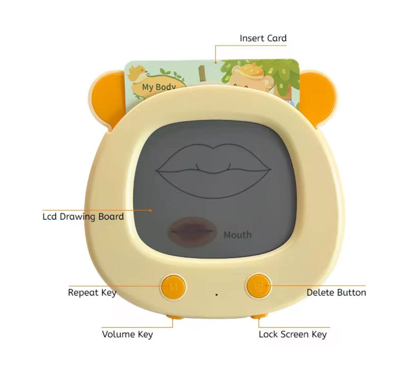 Smart Card Reader