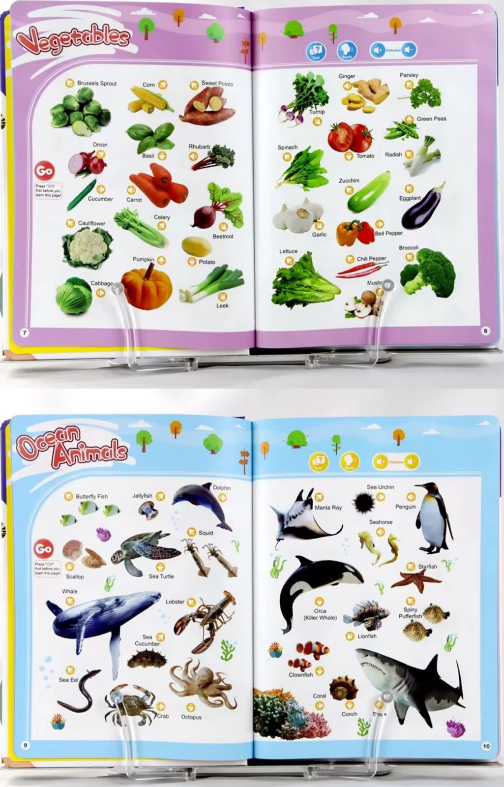 English Words Sounds Book