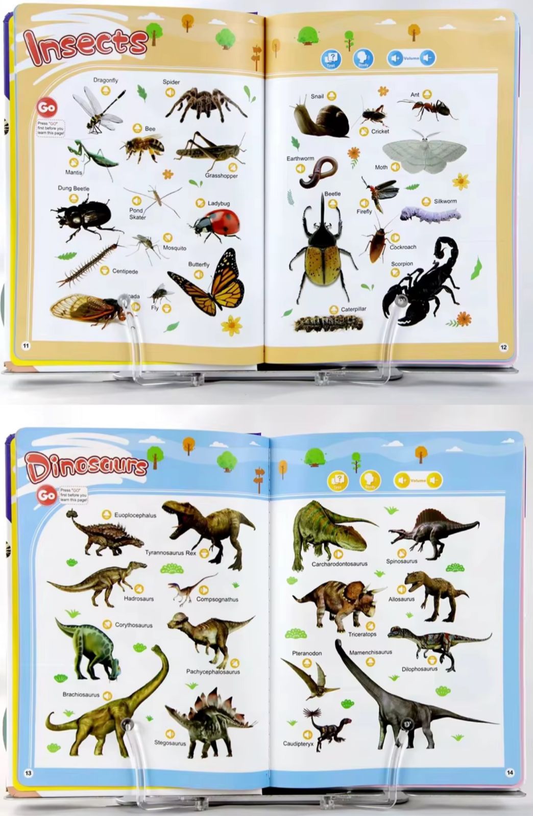 English Words Sounds Book